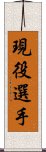 現役選手 Scroll