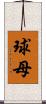 球母 Scroll