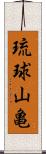 琉球山亀 Scroll