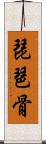 琵琶骨 Scroll