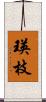 瑛枝 Scroll