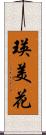 瑛美花 Scroll