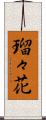 瑠々花 Scroll