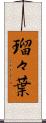 瑠々葉 Scroll