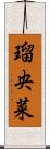 瑠央菜 Scroll