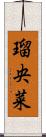 瑠央菜 Scroll