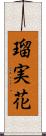 瑠実花 Scroll