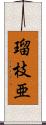 瑠枝亜 Scroll