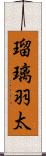 瑠璃羽太 Scroll