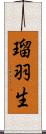 瑠羽生 Scroll