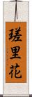 瑳里花 Scroll