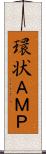 環状ＡＭＰ Scroll