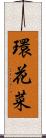 環花菜 Scroll