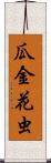 瓜金花虫 Scroll