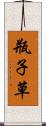 瓶子草 Scroll
