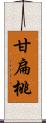 甘扁桃 Scroll