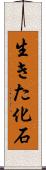 生きた化石 Scroll