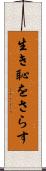 生き恥をさらす Scroll