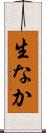 生なか Scroll