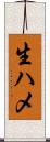 生ハメ Scroll