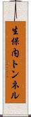 生保内トンネル Scroll