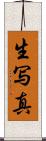 生写真 Scroll