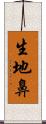 生地鼻 Scroll