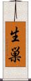 生巣 Scroll