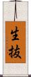 生抜 Scroll