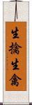 生擒 Scroll