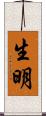 生明 Scroll