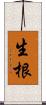 生根 Scroll