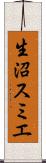 生沼スミエ Scroll