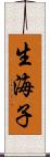 生海子 Scroll