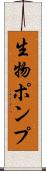 生物ポンプ Scroll