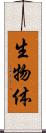 生物体 Scroll
