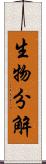 生物分解 Scroll