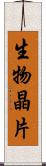 生物晶片 Scroll