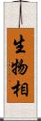 生物相 Scroll