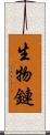 生物鏈 Scroll