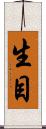 生目 Scroll