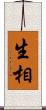 生相 Scroll