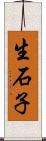 生石子 Scroll