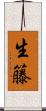 生籐 Scroll