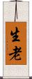 生老 Scroll
