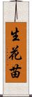 生花苗 Scroll