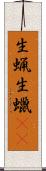 生蝋 Scroll