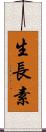 生長素 Scroll