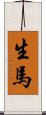 生馬 Scroll