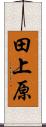 田上原 Scroll
